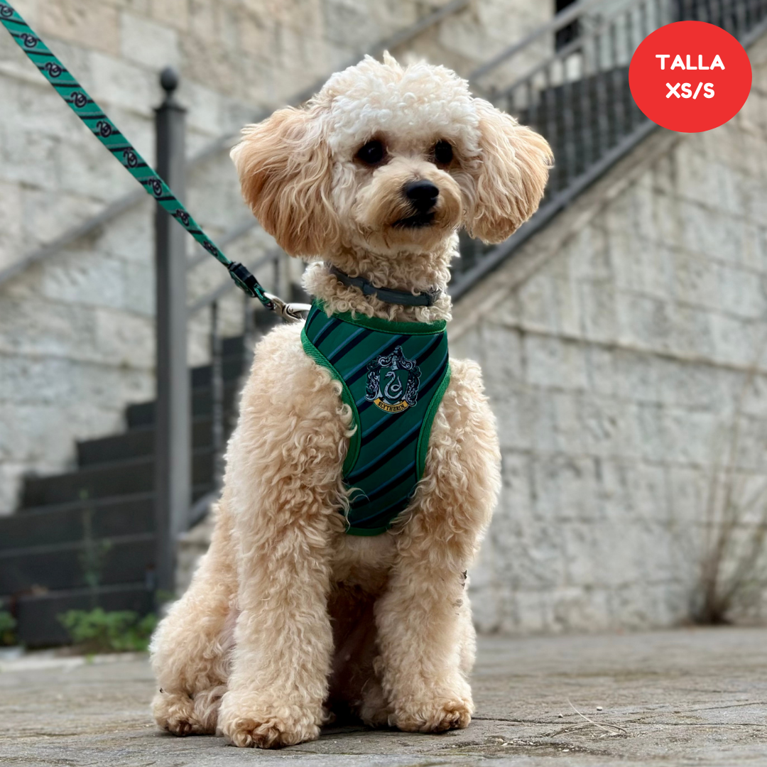 Pack Arnés, Correa y Collar - Exclusivo Slytherin