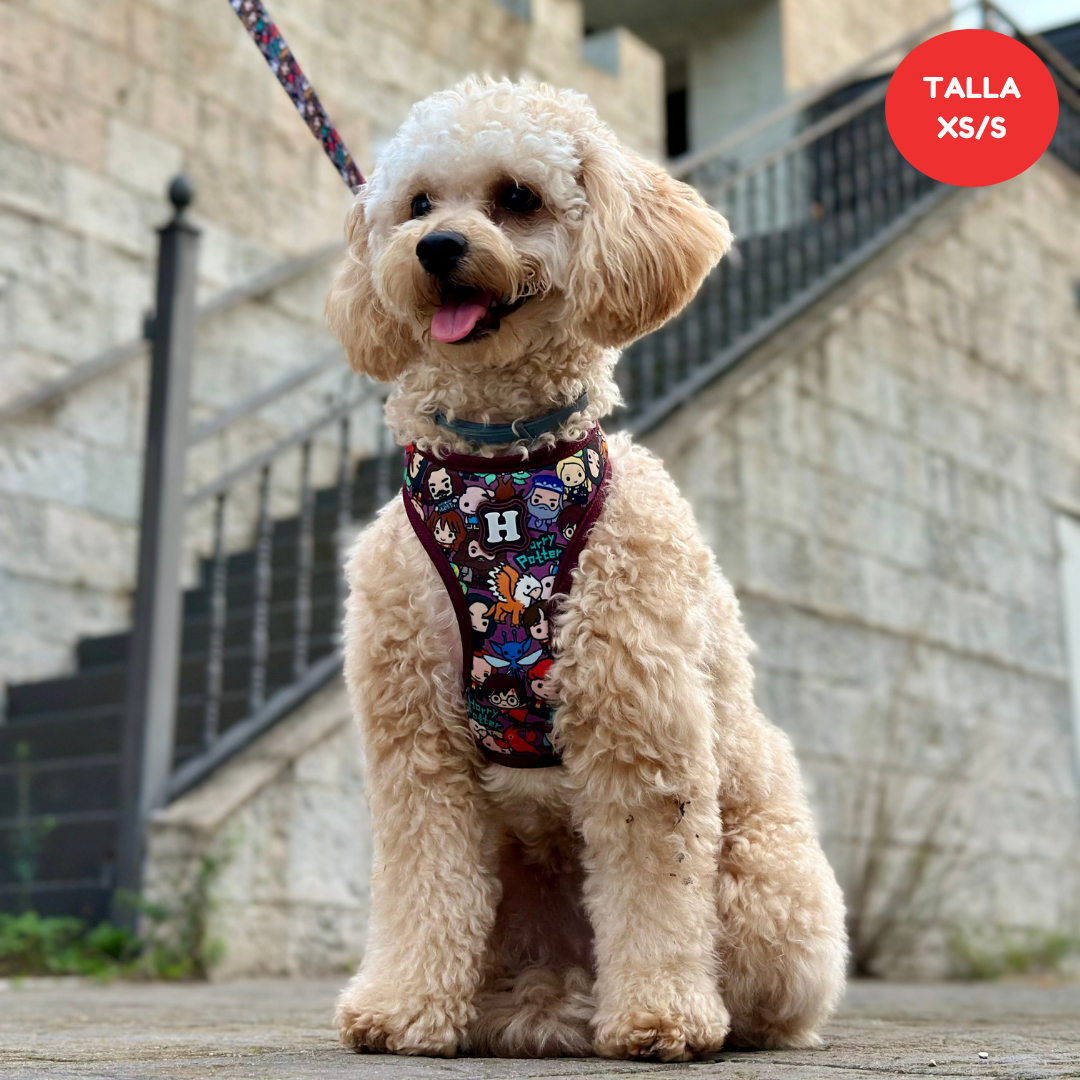 Arnés Exclusivo para Perros - Funko | Ajustable en Abdomen