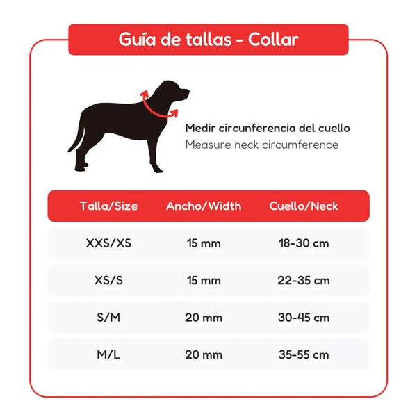 Pack Collar y Correa - Exclusivo Slytherin Harry Potter