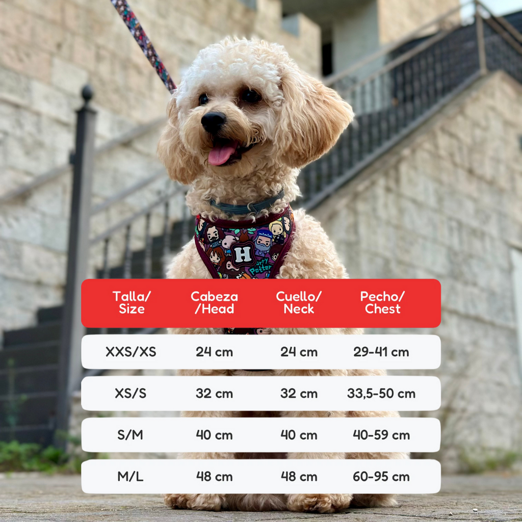 JUGUETE ALGODÓN PERROS RYBIU SOGA RESISTENTE AZUL Y CELESTE + PAPEL REGALO