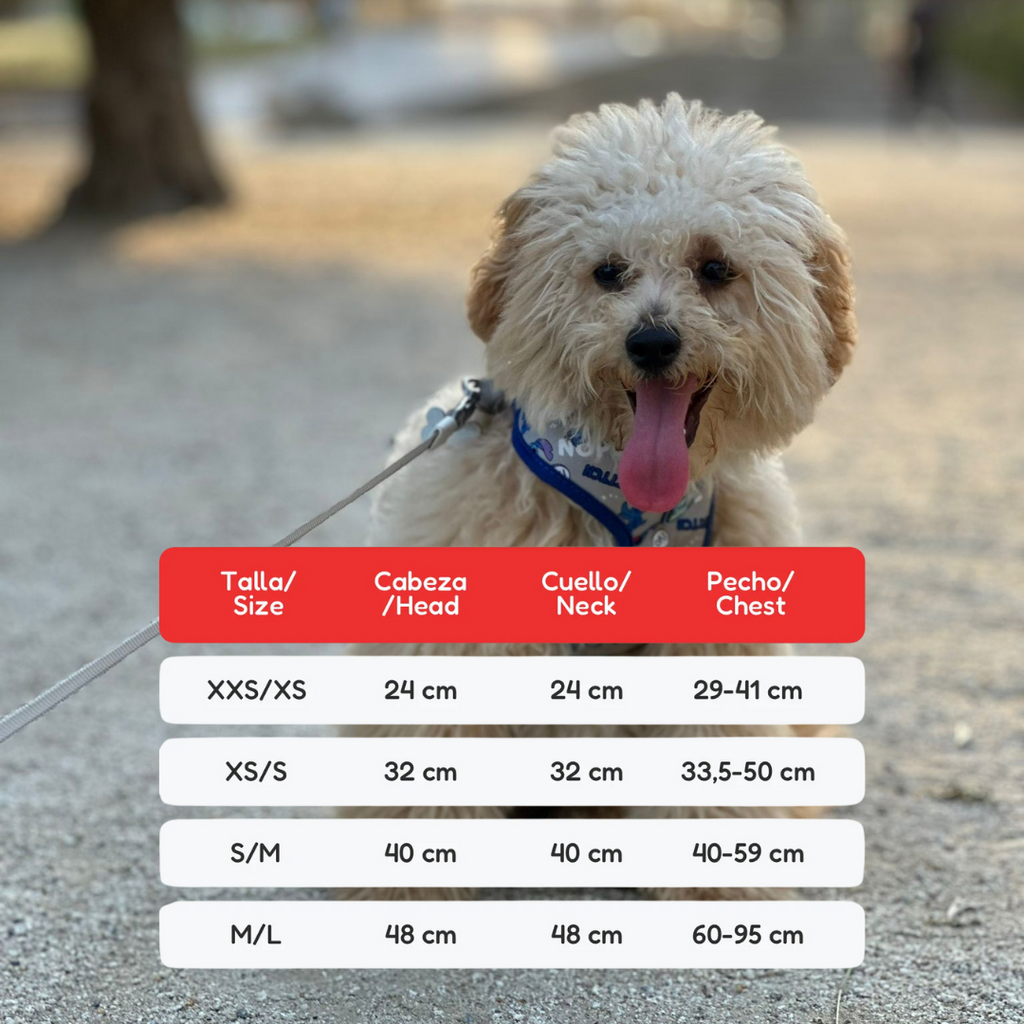 Arnés Para Perros Con Luz LED Recargable USB-C - Reflectante, Antitirones, Talla Large, Color Rojo