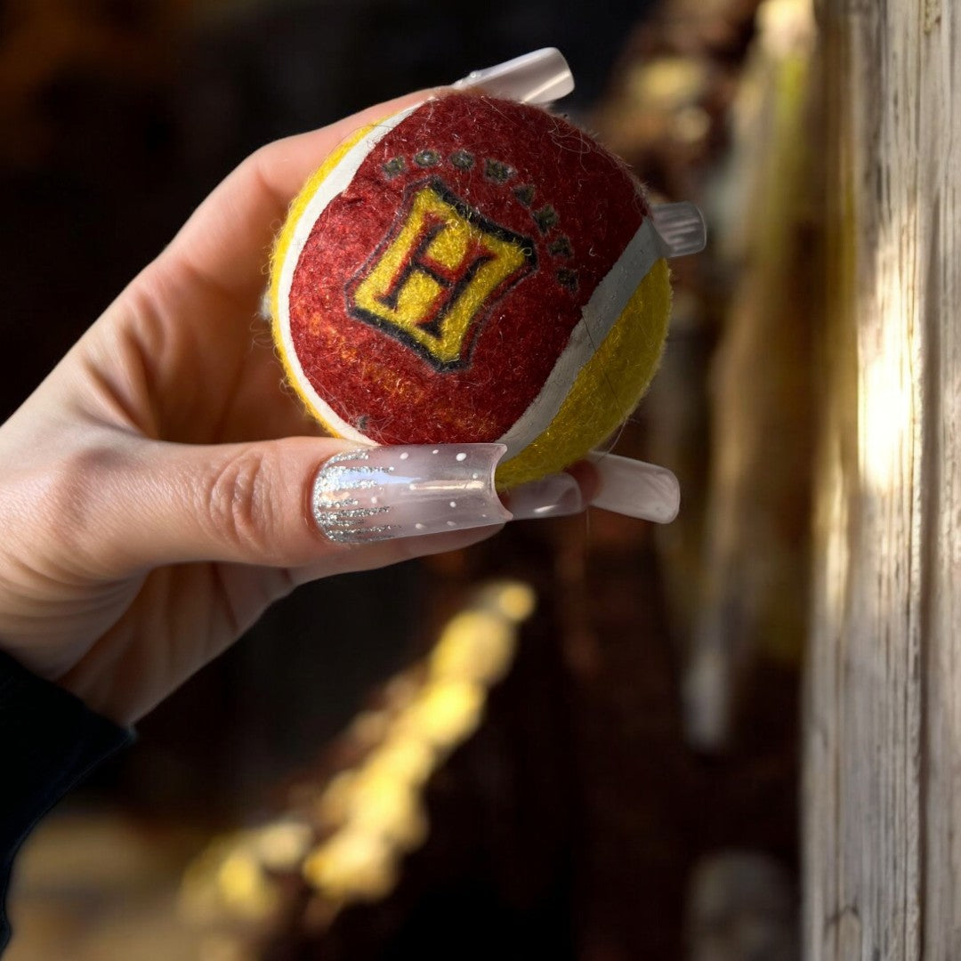 Pack Completo Exclusivo Harry Potter - Gryffindor