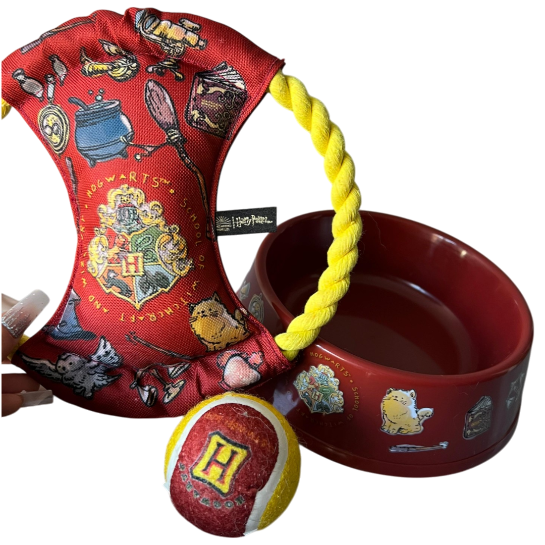 Pack Completo Exclusivo Harry Potter - Gryffindor