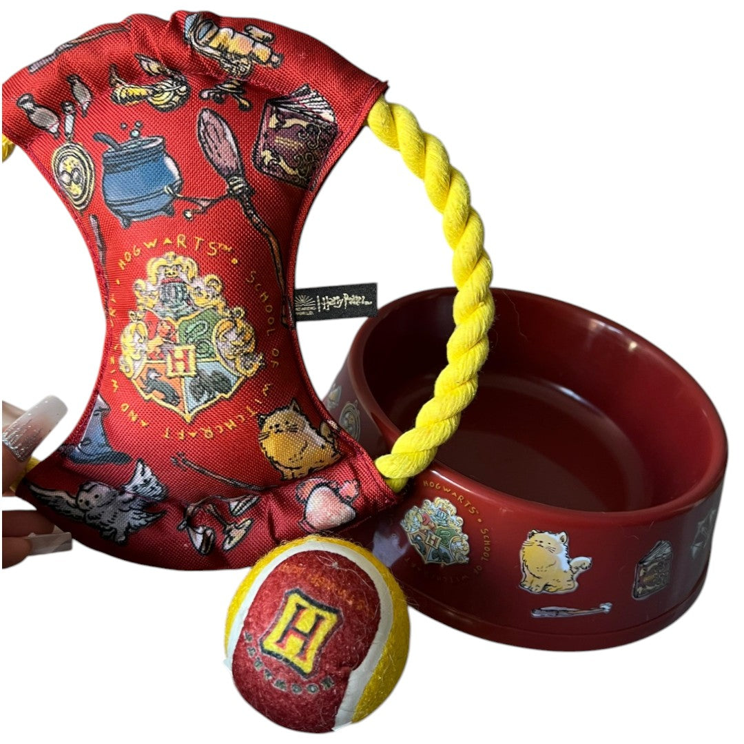 Pack Completo Exclusivo Harry Potter - Slytherin