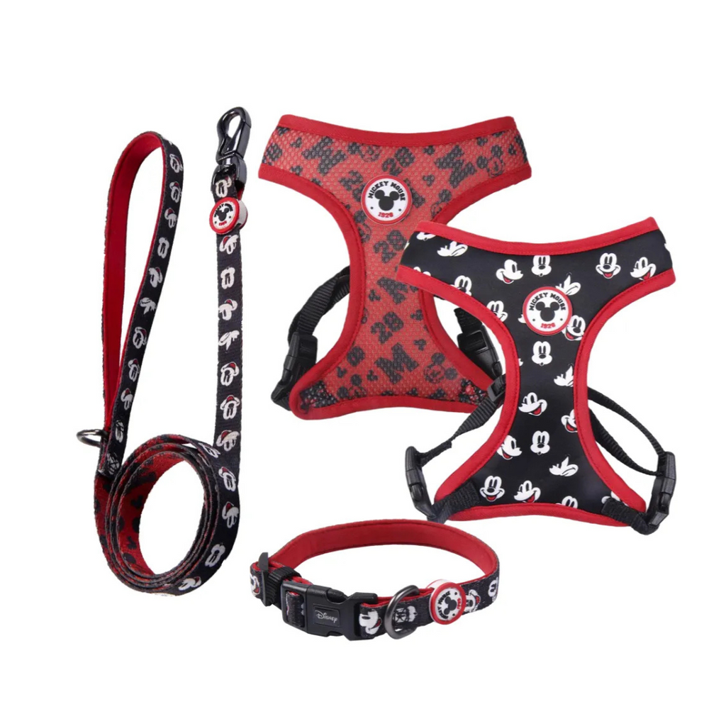 Pack Arnés Reversible, Collar y Correa - Mickey