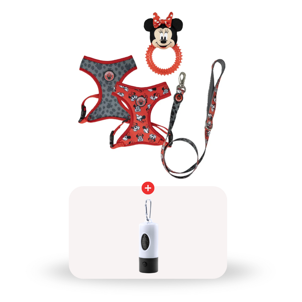 Pack Reversible 2x1 + Porta bolsas blanco GRATIS - Minnie