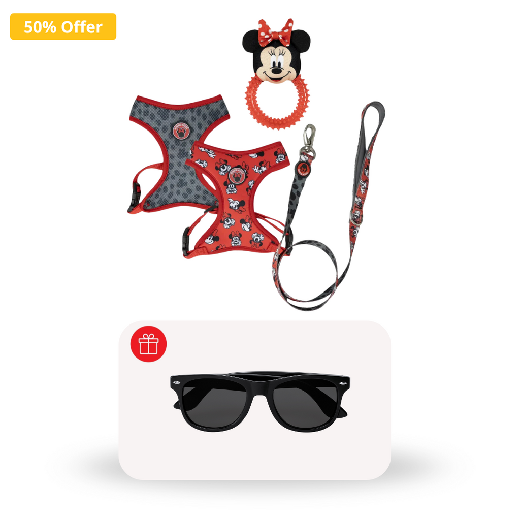 Pack Reversible 2x1 + Gafas GRATIS - Minnie