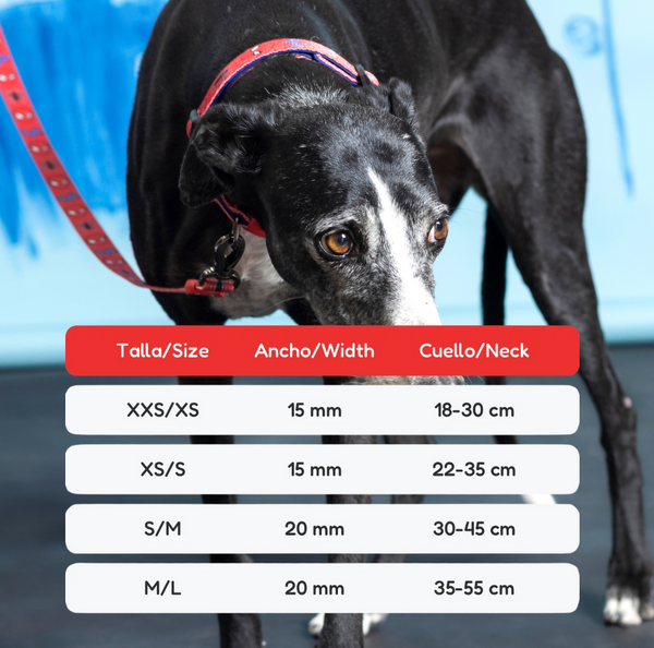 Collar para perros - Spiderman