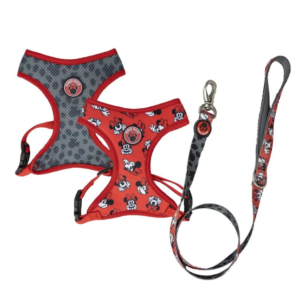 Pack Arnés Reversible y Correa - Minnie